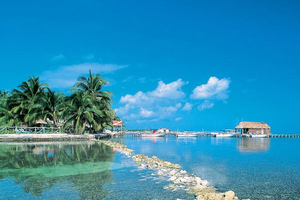 伯利茲公司注冊后能否在國內直接經(jīng)營(yíng)