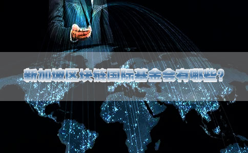 新加坡區塊鏈國際基金會(huì )有哪些