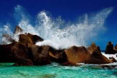 塞舌爾公司注冊信息查詢(xún)方法