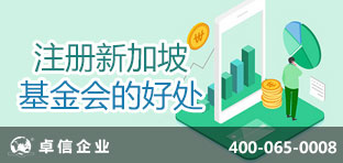 新加坡基金會(huì )的好處