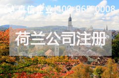 荷蘭公司注冊類(lèi)型有哪些