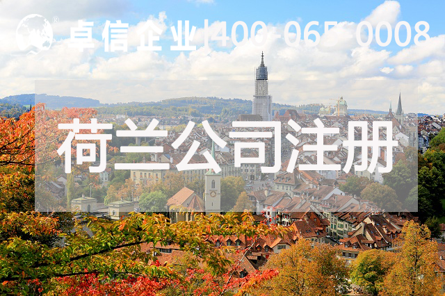 荷蘭公司注冊類(lèi)型有哪些