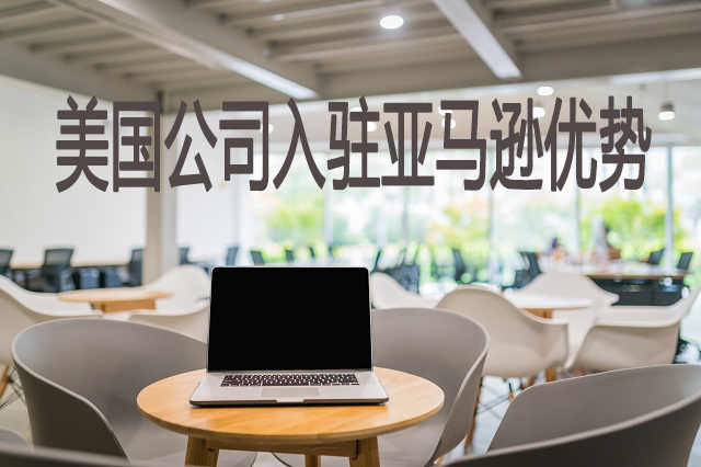 美國電商行業(yè)持續發(fā)展 入駐亞馬遜美國站需要哪些資料