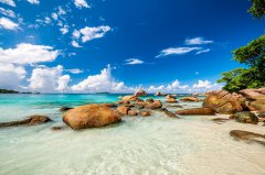 塞舌爾公司注銷(xiāo)后資產(chǎn)處理全析?