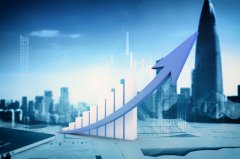 新手必知!波蘭公司注冊常見(jiàn)問(wèn)題與避坑策略