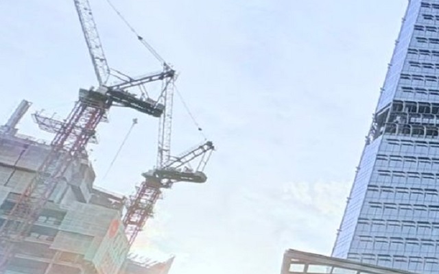 在法國設立公司，可供選擇的公司形式包含哪些