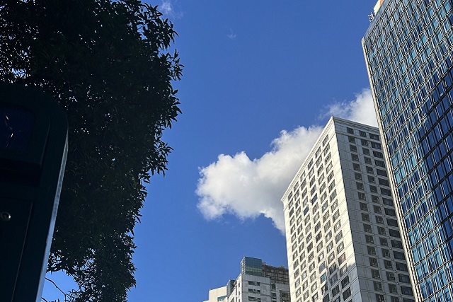 谷歌支付登陸沙特，支付寶于2026年接入，企業(yè)出海中東市場(chǎng)開(kāi)辟新的合作機遇!