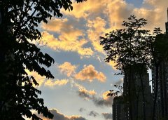 老撾公司注冊地址要求解析：虛擬地址的合規性說(shuō)明