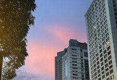 文萊公司類(lèi)型選擇指南