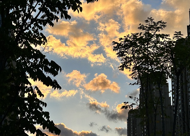 巴基斯坦公司注銷(xiāo)核心環(huán)節全解析