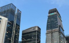 新加坡公司董事和股東可以是同一個(gè)人嗎?答案與合規指南